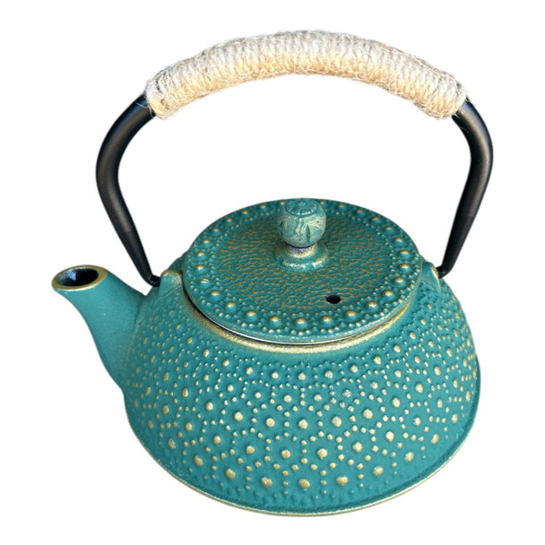 IRONMT20 Iron Metal Teapot 600ml - Teal