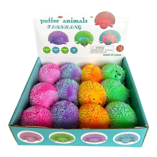 18136 Squeeze Toy Box of 12 - Hairy Hedgehogs