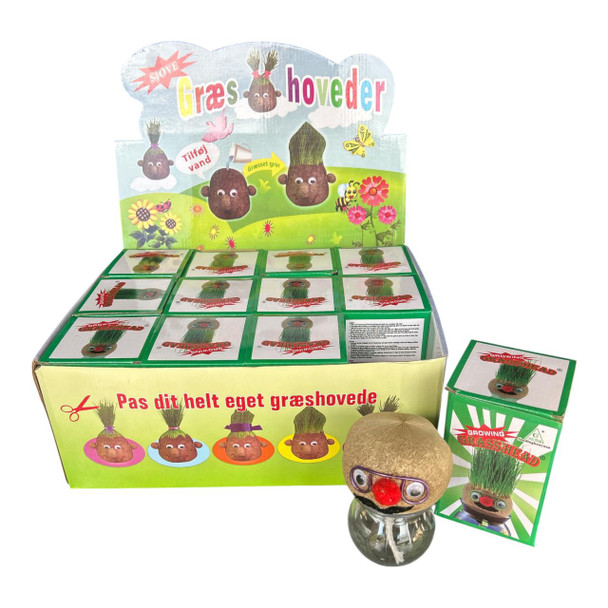 GHEAD01 Educational Toy Box of 12 - Groovy Grasshead