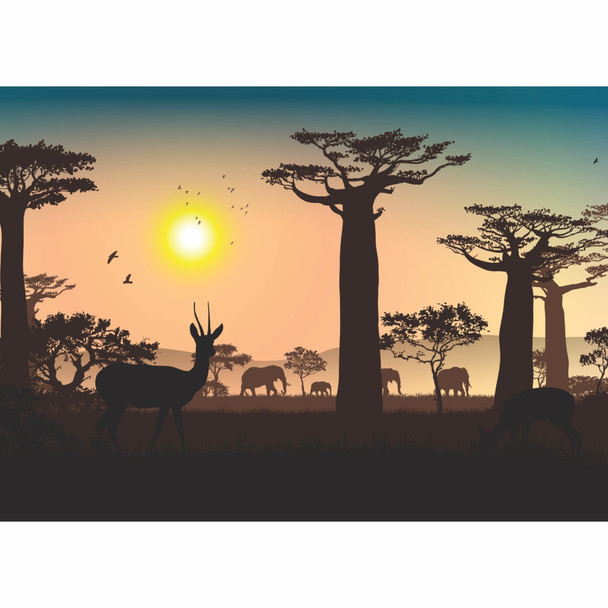 PLACEML395 Disposable Placemat - Boabab Sunrise