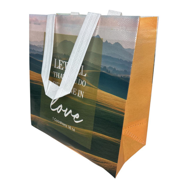 GB2016B Reusable Shopping Bag (Set of 12) – Let All You Do In Love