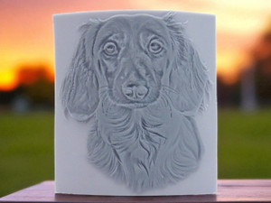 Long Haired Dachshund dog head close up, clay pottery stamp for potters to add texture image to ceramics, On a wood table with a sunset background. Long Haired Dachshund dog head close up, clay pottery stamp for potters to add texture image to ceramics, On a wood table with a sunset background.