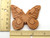 A Brown Sugar Saver Butterfly Terracotta Clay Handcrafted in USA. With ruler. Showing 2.5 in wide & 2.5 inches in length. A brown sugar saver butterfly terracotta clay handcrafted in the USA. With ruler. Showing 2.5 inches wide & 2.5 inches in length. A Brown Sugar Saver Butterfly Terracotta Clay Handcrafted in USA. With ruler. Showing 2.5 in wide & 2.5 inches in length. A brown sugar saver butterfly terracotta clay handcrafted in the USA. With ruler. Showing 2.5 inches wide & 2.5 inches in length.