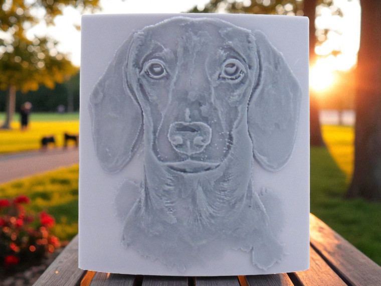Smooth Haired Dachshund dog  Close Up, clay pottery stamp for potters to add texture image to ceramics, On a wood bench with a sunny background.