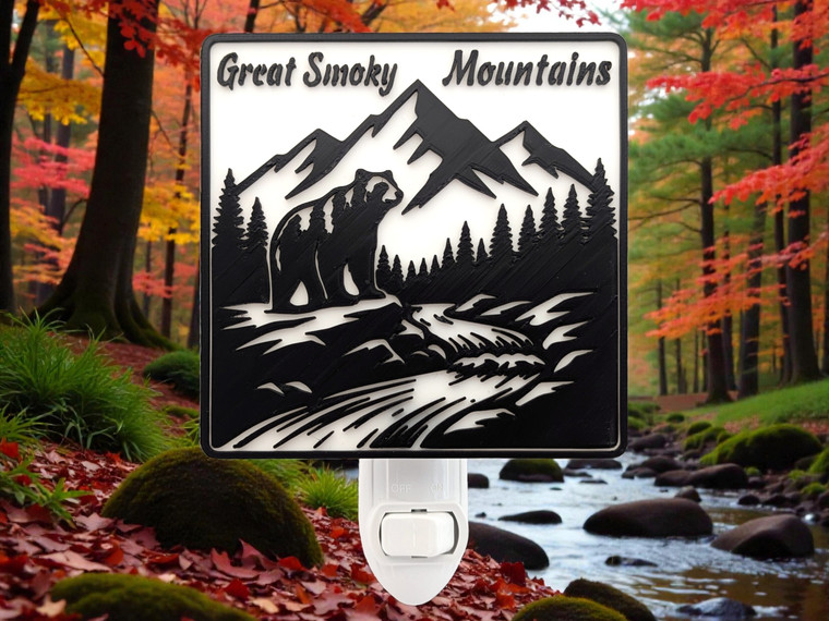 Great Smoky Mountain Bear on Riverbed Night Light in forest