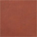 Rust swatch image