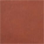 Rust swatch image