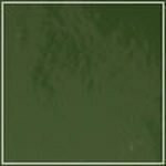 Spruce - Patent swatch image