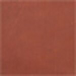 Rust swatch image