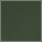 Dark Olive swatch image