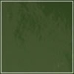 Spruce - Patent swatch image