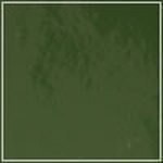 Spruce - Patent swatch image