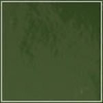 Spruce - Patent swatch image