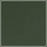 Spruce - Smooth swatch image