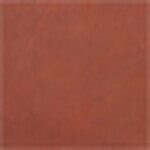 Rust swatch image