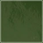 Spruce - Patent swatch image