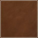 Cedar swatch image