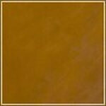 Cedar swatch image