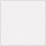 White - Patent swatch image