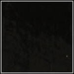 Black - Patent swatch image