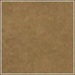 Mocha swatch image