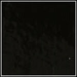 Black - Patent swatch image