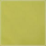 Lime swatch image