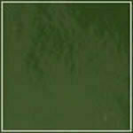 Spruce - Patent swatch image