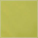 Lime swatch image