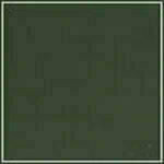 Spruce - Smooth swatch image