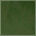 Spruce - Patent swatch image
