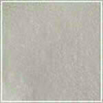 Silver swatch image