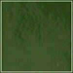 Spruce - Patent swatch image