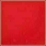 Red - Patent swatch image