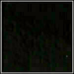 Black - Patent swatch image