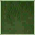Spruce - Patent swatch image
