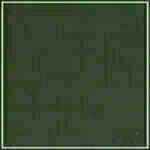 Spruce - Smooth swatch image