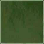 Spruce - Patent swatch image