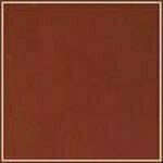 British Tan swatch image