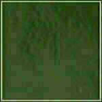 Spruce - Patent swatch image