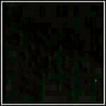 Black - Patent swatch image