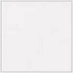 White - Patent swatch image