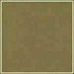 Wild Mushroom swatch image