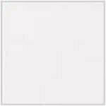 White - Patent swatch image