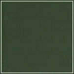 Olive swatch image