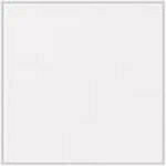 White - Patent swatch image