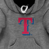 Texas Rangers Furry Fan Pet Carrier