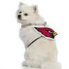 Arizona Cardinals Pet Fan Chain
