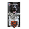 Chicago Bears Pet Fan Chain