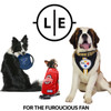 Miami Dolphins Pet Fan Chain